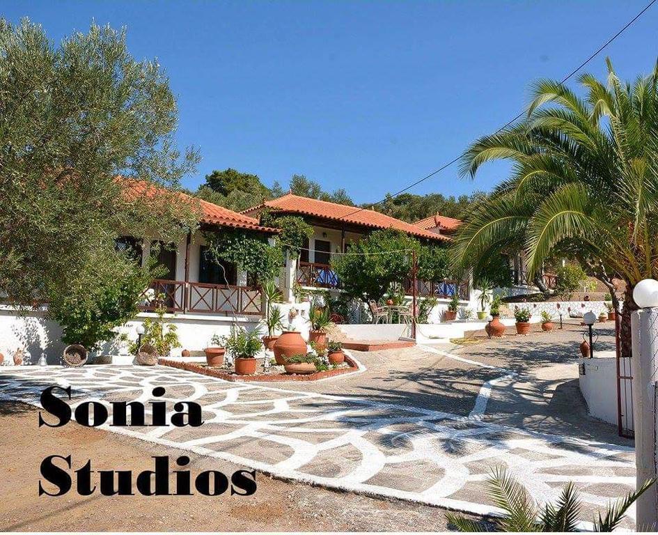 Sonia Studios Nees Kidonies Værelse billede